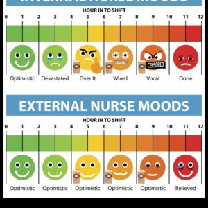 Internal and External Nurse Moods/Pain Scale Funny Nurse Gift Magnet